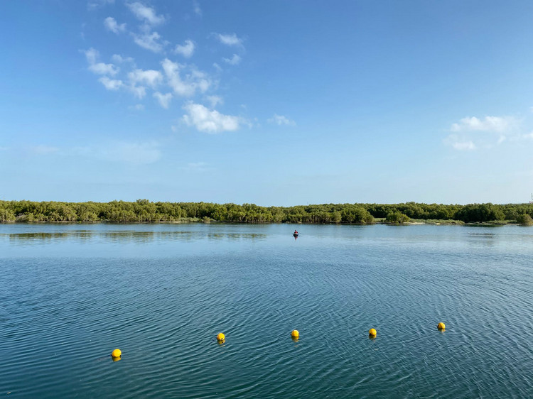 COD測定儀檢測污水 COD測定儀檢測污水